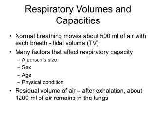 Respiratory Volumes and
Capacities
• Normal breathing moves about 500 ml of air with
each breath - tidal volume (TV)
• Many factors that affect respiratory capacity
– A person’s size
– Sex
– Age
– Physical condition
• Residual volume of air – after exhalation, about
1200 ml of air remains in the lungs
 