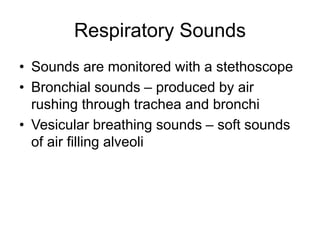 Respiratory Sounds
• Sounds are monitored with a stethoscope
• Bronchial sounds – produced by air
rushing through trachea and bronchi
• Vesicular breathing sounds – soft sounds
of air filling alveoli
 