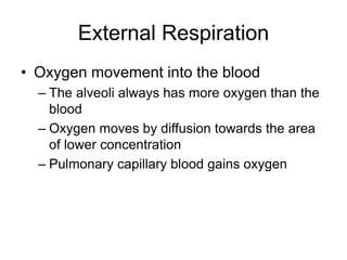 External Respiration
• Oxygen movement into the blood
– The alveoli always has more oxygen than the
blood
– Oxygen moves by diffusion towards the area
of lower concentration
– Pulmonary capillary blood gains oxygen
 