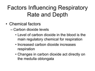 Factors Influencing Respiratory
Rate and Depth
• Chemical factors
– Carbon dioxide levels
• Level of carbon dioxide in the blood is the
main regulatory chemical for respiration
• Increased carbon dioxide increases
respiration
• Changes in carbon dioxide act directly on
the medulla oblongata
 