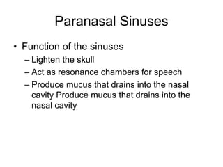 Paranasal Sinuses
• Function of the sinuses
– Lighten the skull
– Act as resonance chambers for speech
– Produce mucus that drains into the nasal
cavity Produce mucus that drains into the
nasal cavity
 