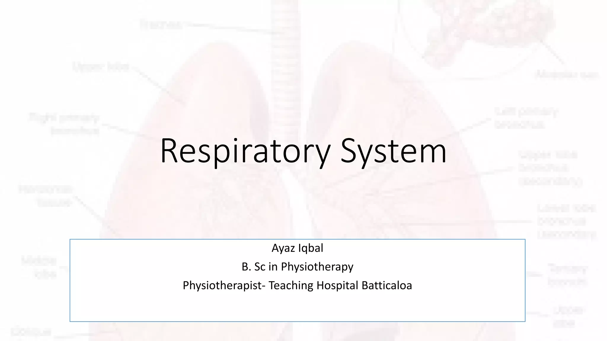 respiratory-system-presentation-pdf