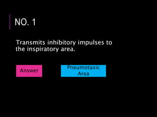 NO. 1
Transmits inhibitory impulses to
the inspiratory area.
Answer
Pneumotaxic
Area
 