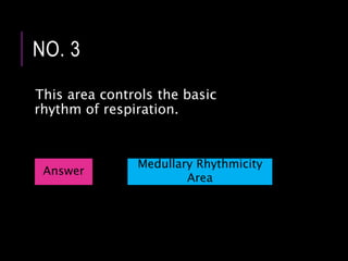 This area controls the basic
rhythm of respiration.
NO. 3
Answer
Medullary Rhythmicity
Area
 