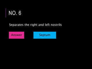 Separates the right and left nostrils
NO. 6
Answer Septum
 