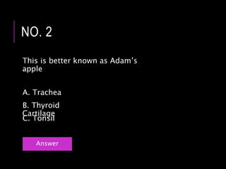 This is better known as Adam’s
apple
NO. 2
B. Thyroid
Cartilage
A. Trachea
C. Tonsil
Answer
 