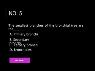 The smallest branches of the bronchial tree are
the______
NO. 5
Answer
C. Tertiary bronchi
B. Secondary
bronchi
A. Primary bronchi
D. Bronchioles
 