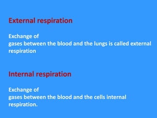 _Respiratory Systems.pptx