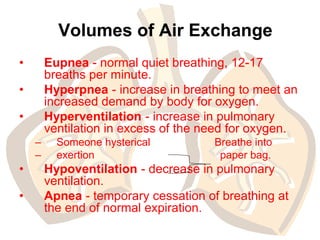 respiratory system Sem 2 HAP.ppt