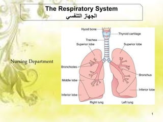 The Respiratory System
‫التنفسي‬ ‫الجهاز‬
Nursing Department
1
 
