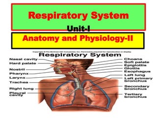 Respiratory System
Unit-I
Anatomy and Physiology-II
 