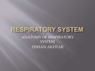 ANATOMY OF RESPIRATORY
SYSTEM
ZISHAN AKHTAR
 