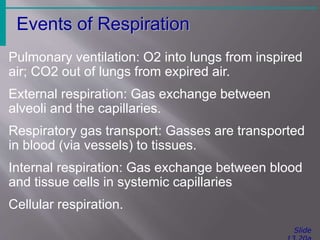 Mechanics of Breathing
(Pulmonary Ventilation)
Slide
 Two phases
Inspiration – flow of air into lung
Expiration – air l...