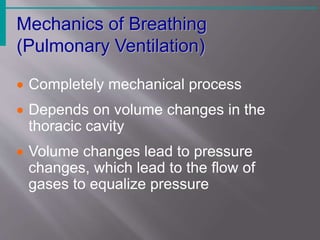Exhalation
Figure 13.7b
 
