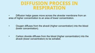 DIFFUSION PROCESS IN
RESPIRATION
• Diffusion helps gases move across the alveolar membrane from an
area of higher concentration to an area of lower concentration.
• Oxygen diffuses from the alveoli (higher concentration) into the blood
(lower concentration).
• Carbon dioxide diffuses from the blood (higher concentration) into the
alveoli (lower concentration) to be exhaled.
 