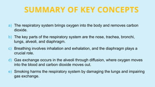 SUMMARY OF KEY CONCEPTS
a) The respiratory system brings oxygen into the body and removes carbon
dioxide.
b) The key parts of the respiratory system are the nose, trachea, bronchi,
lungs, alveoli, and diaphragm.
c) Breathing involves inhalation and exhalation, and the diaphragm plays a
crucial role.
d) Gas exchange occurs in the alveoli through diffusion, where oxygen moves
into the blood and carbon dioxide moves out.
e) Smoking harms the respiratory system by damaging the lungs and impairing
gas exchange.
 