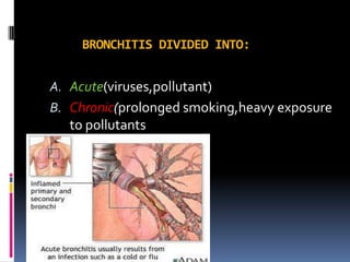 BRONCHITIS DIVIDED INTO:
A. Acute(viruses,pollutant)
B. Chronic(prolonged smoking,heavy exposure
to pollutants
 