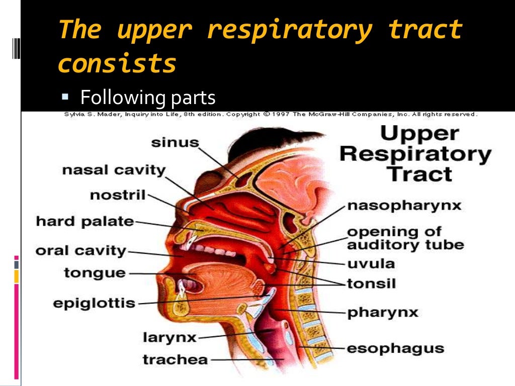 Respiratory tract infections
