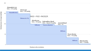 PAO2 = PiO2 –PACO2/R
 