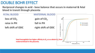 DOUBLE BOHR EFFECT
Reciprocal changes in acid - base balance that occurs in maternal & fetal
blood in transit through placenta
FETAL BLOOD MATERNAL BLOOD
loss of CO2 gain of CO2
raise in PH fall in PH
left shift of ODC right shift of ODC
Fetal hemoglobin has higher affinity to O2 so as obtain O2 from
maternal blood in the placenta.
 