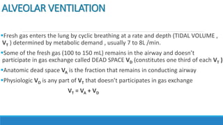 ALVEOLAR VENTILATION
Fresh gas enters the lung by cyclic breathing at a rate and depth (TIDAL VOLUME ,
VT ) determined by metabolic demand , usually 7 to 8L /min.
Some of the fresh gas (100 to 150 mL) remains in the airway and doesn’t
participate in gas exchange called DEAD SPACE VD (constitutes one third of each VT )
Anatomic dead space VA is the fraction that remains in conducting airway
Physiologic VD is any part of VT that doesn’t participates in gas exchange
VT = VA + VD
 