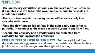 PERFUSION
The pulmonary circulation differs from the systemic circulation as
it operates at a five to tenfold lower pressure, and the vessels are
shorter and wider.
There are two important consequences of the particularly low
vascular resistance.
First, the downstream blood flow in the pulmonary capillaries is
pulsatile, in contrast to the more constant systemic capillary flow.
Second, the capillary and alveolar walls are protected from
exposure to high hydrostatic pressures
DISTRIBUTION OF LUNG BLOOD FLOW : Pulmonary blood flow
depends on driving pressure and vascular resistance; these factors
(and flow) are not homogenous throughout the lung.
 