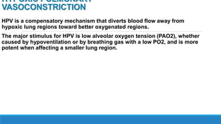 HYPOXIC PULMONARY
VASOCONSTRICTION
HPV is a compensatory mechanism that diverts blood flow away from
hypoxic lung regions toward better oxygenated regions.
The major stimulus for HPV is low alveolar oxygen tension (PAO2), whether
caused by hypoventilation or by breathing gas with a low PO2, and is more
potent when affecting a smaller lung region.
 