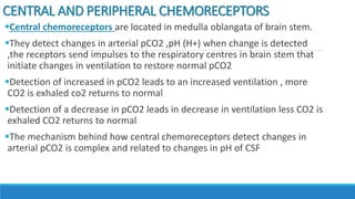 CENTRAL AND PERIPHERAL CHEMORECEPTORS
Central chemoreceptors are located in medulla oblangata of brain stem.
They detect changes in arterial pCO2 ,pH (H+) when change is detected
,the receptors send impulses to the respiratory centres in brain stem that
initiate changes in ventilation to restore normal pCO2
Detection of increased in pCO2 leads to an increased ventilation , more
CO2 is exhaled co2 returns to normal
Detection of a decrease in pCO2 leads in decrease in ventilation less CO2 is
exhaled CO2 returns to normal
The mechanism behind how central chemoreceptors detect changes in
arterial pCO2 is complex and related to changes in pH of CSF
 