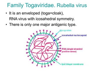 Respiratory viruses infections in children | PPT