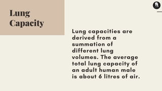 Respiratory volume measurement for  humans
