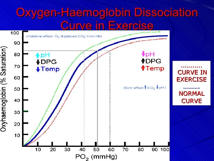 Respiratoty response to exercise dipayan