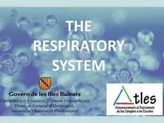 THE
RESPIRATORY
SYSTEM
 