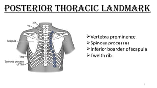 Comprehensive Respiratory System Assessment and Nursing Evaluation | PPTX