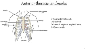 Anterior thoracic landmarks
4
Supra sternal notch
Sternum
Sternal angle or angle of louis
Costal angle
 