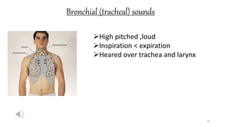 Bronchial (tracheal) sounds
58
High pitched ,loud
Inspiration < expiration
Heared over trachea and larynx
 