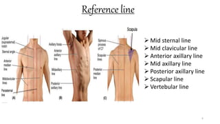 Reference line
6
 Mid sternal line
 Mid clavicular line
 Anterior axillary line
 Mid axillary line
 Posterior axillary line
 Scapular line
 Vertebular line
 