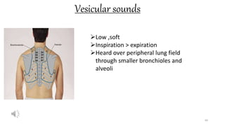 Vesicular sounds
60
Low ,soft
Inspiration > expiration
Heard over peripheral lung field
through smaller bronchioles and
alveoli
 