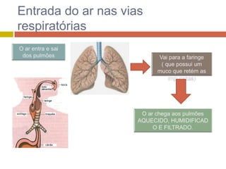 RespiratóRio II