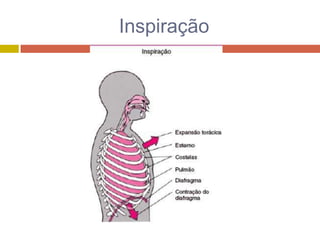 RespiratóRio II