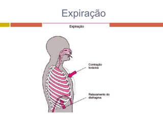 RespiratóRio II