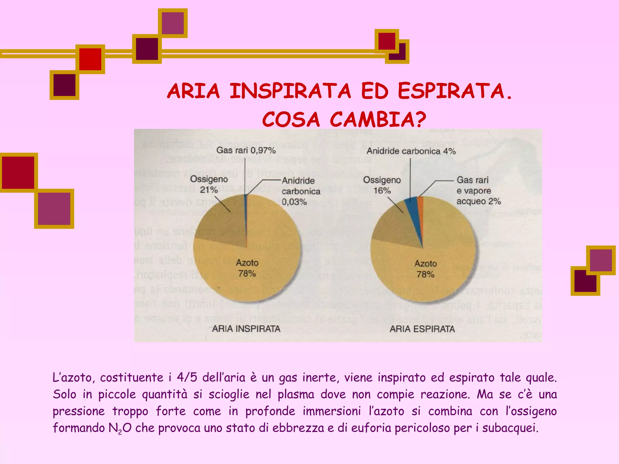 Azoto Inerte Respirazione Cellulare | PPT