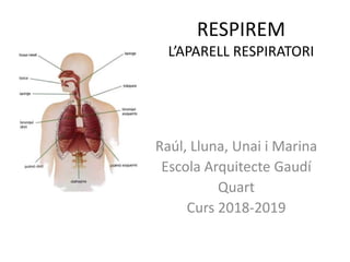 RESPIREM
L’APARELL RESPIRATORI
Raúl, Lluna, Unai i Marina
Escola Arquitecte Gaudí
Quart
Curs 2018-2019
 