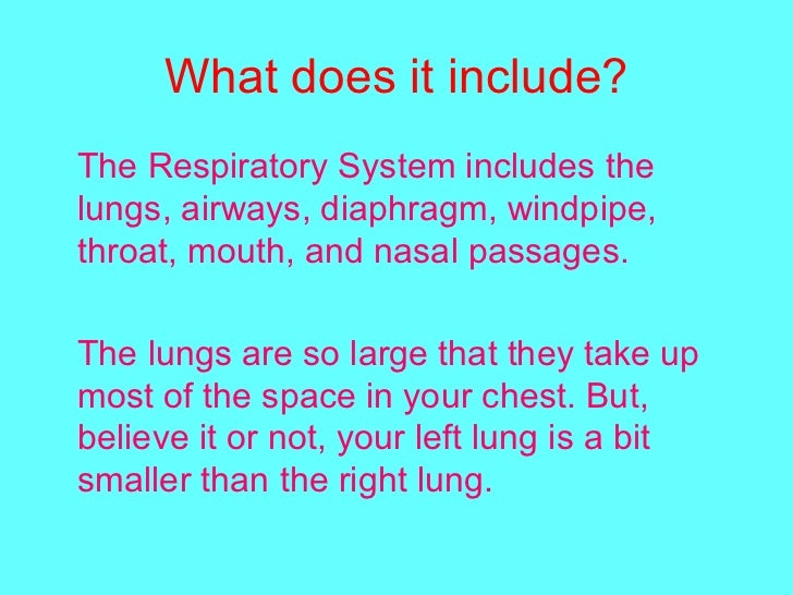 Respitory system.ppt final!!!