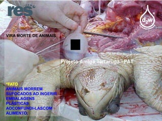 VIRA MORTE DE ANIMAIS

*FATO
ANIMAIS MORREM
SUFOCADOS AO INGERIR
EMBALAGENS
PLÁSTICAS
AOCONFUNDI-LASCOM
ALIMENTO.

 