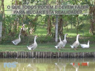 O QUE TODOS PODEM E DEVEM FAZER
PARA MUDAR ESTA REALIDADE?

 
