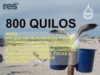 800 QUILOS
*FATO
800 QUILOS DE PLÁSTICOS FORAM
ENCONTRADOS NO ESTÔMAGO DE
UMA BALEIA MORTA NA NORMANDIA.
A CADA ANO MORREM MILHARES DE
TARTARUGAS, BALEIAS, FOCAS E
PÁSSAROS NAS MESMAS
CONDIÇÕES.

 