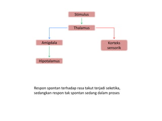 Stimulus


                       Thalamus


    Amigdala                                Korteks
                                            sensorik


  Hipotalamus




Respon spontan terhadap rasa takut terjadi seketika,
sedangkan respon tak spontan sedang dalam proses
 