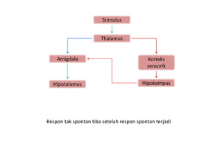 Stimulus


                       Thalamus


    Amigdala                               Korteks
                                           sensorik


  Hipotalamus                            Hipokampus




Respon tak spontan tiba setelah respon spontan terjadi
 