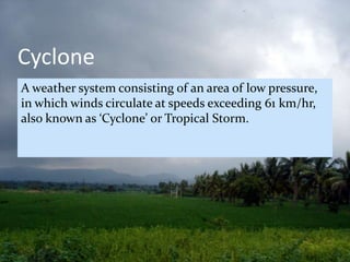 Responding to cyclones | PPTX