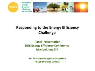 Responding to the Energy Efficiency Challenge  Panel  Presentation DOE Energy Efficiency Conference  Istanbul June 3-4  Dr. Marianne Moscoso-Osterkorn REEEP Director General 